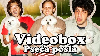 VIDEOBOX | Pseća posla