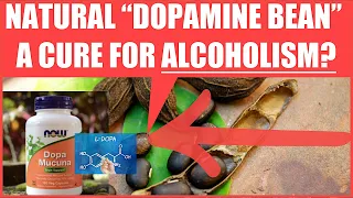 Mucuna is a "game changer" for alcohol addiction.