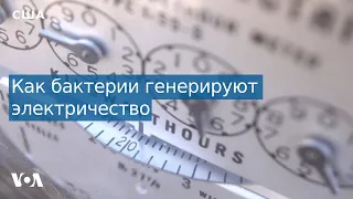 В США научились генерировать электричество с помощью бактерий