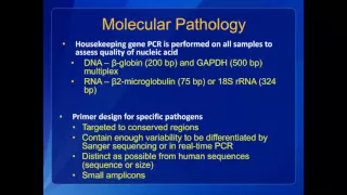 Amy Denison - The Molecular Pathology Perspective of the CDC’s Infectious Diseases Pathology Branch