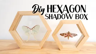 How to Create Stunning Hexagon Shadow Boxes