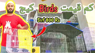 Best Cage Wholesaler in Karachi  | Master Cage Price In Karachi Pakistan 2024 | Low Price Cage
