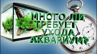 НАНО АКВАРИУМ. ПОДМЕНА ВОДЫ В ТРАВНИКЕ. ЧЕГО НЕ ХВАТАЕТ РАСТЕНИЯМ? СТОИТ ЛИ ЗАПУСКАТЬ ТРАВНИК?