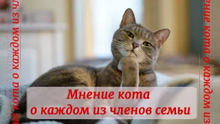 Мнение кота о каждом из членов семьи  The cat's opinion of each of the family members