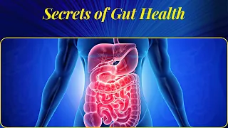 The Science Behind Gut Health: Key to Your Well-being