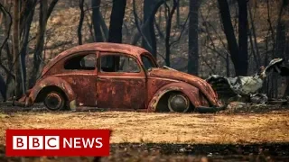Australia fires: Fires worsen as every Australian state hits 40C - BBC News