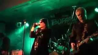 The Prophet-Buffalo (Revisited) live at the Bald Faced Stag 27-11-2015