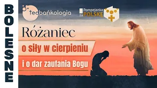 Różaniec Teobańkologia o siły w cierpieniu i o dar zaufania Bogu 19.04 Piątek