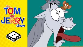 Jerry The Horse Whisperer| Tom & Jerry Show | Boomerang UK