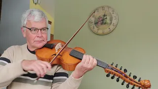 Martin's viola d'amore