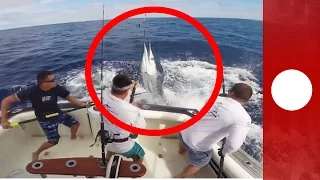 Fisherman narrowly avoids being impaled by huge marlin, Australia