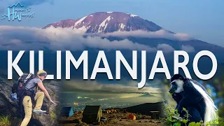 Climbing Kilimanjaro