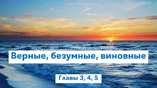 Верные, безумные, виновные. Лиана Мориарти, главы 3-5