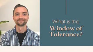 What is the Window of Tolerance?