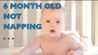 6 Month Old Not Napping | CloudMom