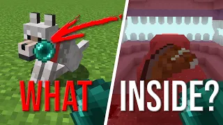 What's inside Mobs in Minecraft?