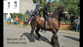 How (not) to mount a draft horse (Part 2, the death jump)