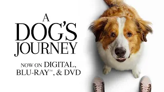 A Dog’s Journey | Trailer | Own it now on Blu-ray, DVD & Digital