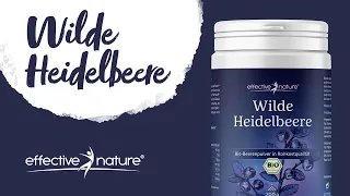 Wilde Heidelbeere – So vielfältig kannst du das Fruchtpulver verwenden | myFairtrade