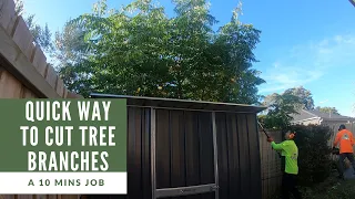 Here is a quick way to cut tree branches from neighbour's yard