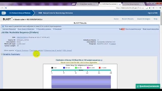 How to verify if your probe fit with your primers pair?