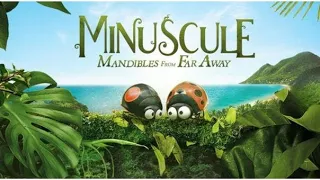 Minuscule Mandibles From Far Away [1080p] / robaczki z zaginionej dżungli