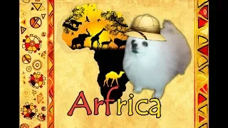 Arfrica (Toto)