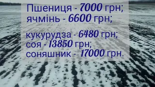 ЦІНИ НА ЗЕРНО НА ВІННИЧЧИНІ 30 січня. соя, соняшник, пшениця, ячмінь, кукурудза