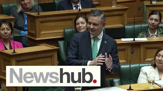 James Shaw reveals new job after 10 years in politics | Newshub