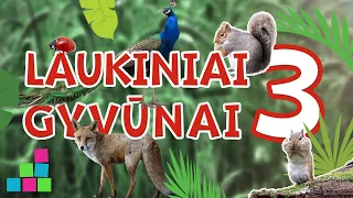 Laukiniai gyvūnai vaikams lietuviškai su garsais | 3 dalis