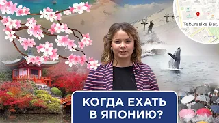 Когда ехать в Японию? Разбор по месяцам