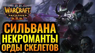 ИМ НЕТ ЧИСЛА: Тёмная Охотница первым героем и некроманты [Warcraft 3 Reforged]