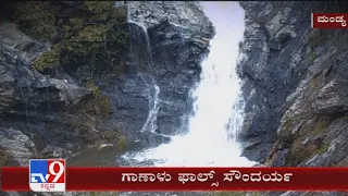 Ganalu falls is attracting the tourists in Mandya