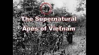 The Story of Rock Apes | Hominid?