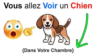 Cette Vidéo vous Fera Voir Un Chien dans Votre Chambre!! 😱 (vraiment)