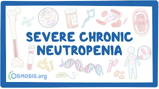 NORD - Severe Chronic Neutropenia