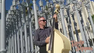 ADDAMS FAMILY THEME SONG (Upright Slap Bass Cover) - Djordje Stijepovic