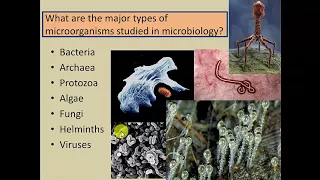 Chapter 1 - Part 1 - Introduction to Microbiology