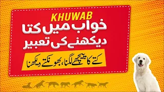 Khwab Mein Kutta Piche Lagne Ki Tabeer | Khwabon Ki Tabeerain | Dream Interpretation in Islam