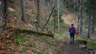 Traseu Poiana Brasov - Cabana Postavaru