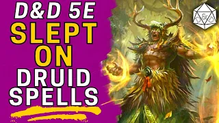 3 Overlooked Spells Every Druid Should Consider | Spells in D&D 5e