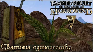 Morrowind Tamriel Rebuilt - Святилище Одиночества, #198 (260)