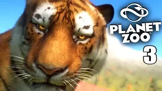 PLANET ZOO - 3 - Sibirischer Tiger & Überraschung | Planet Zoo Deutsch ► Franchise Mode