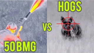 50 cal hog hunting - Thermal Drone hunting