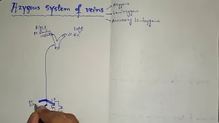 Draw Azygous, Hemiazygous, Accessory Hemiazygous veins |Azygous system of veins| Easy drawings