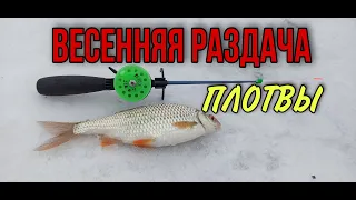 ЗИМНЯЯ РЫБАЛКА на МОРМЫШКУ. КАК найти ПЛОТВУ зимой. ловля плотвы зимой