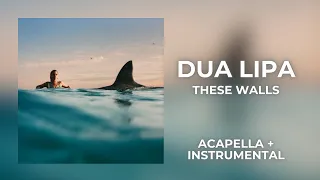 Dua Lipa - These Walls (Acapella  + Instrumental) Stems