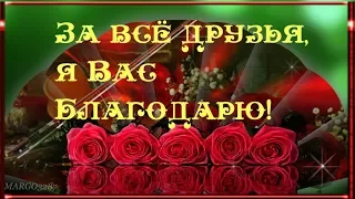 За всё Друзья,я Вас Благодарю!