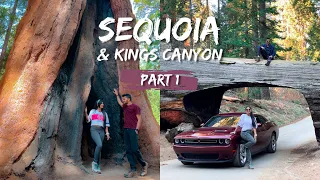 Ultimate 3 Day Sequoia & Kings Canyon National Parks Itinerary | Part 1