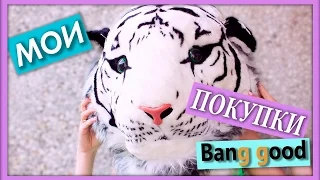 HAUL Мои покупки с магазина Banggood